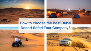 How to choose the best Dubai Desert Safari Tour Company