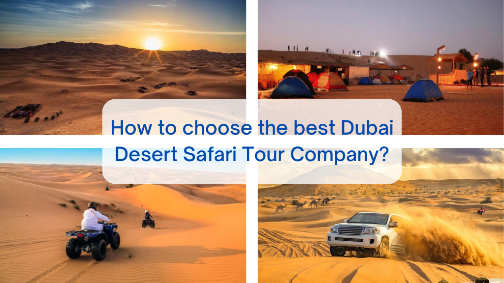 How to choose the best Dubai Desert Safari Tour Company