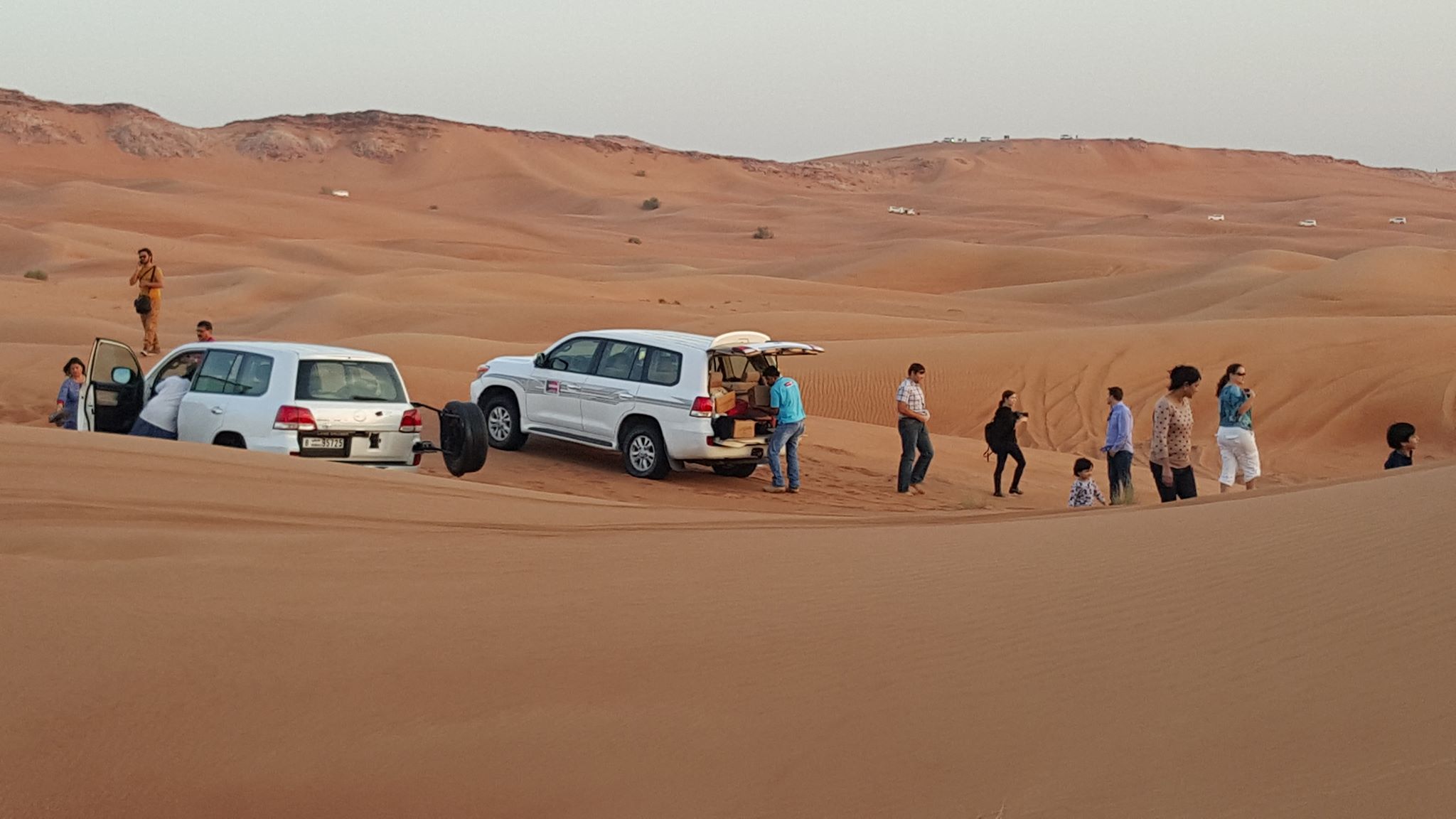 Morning Desert Safari