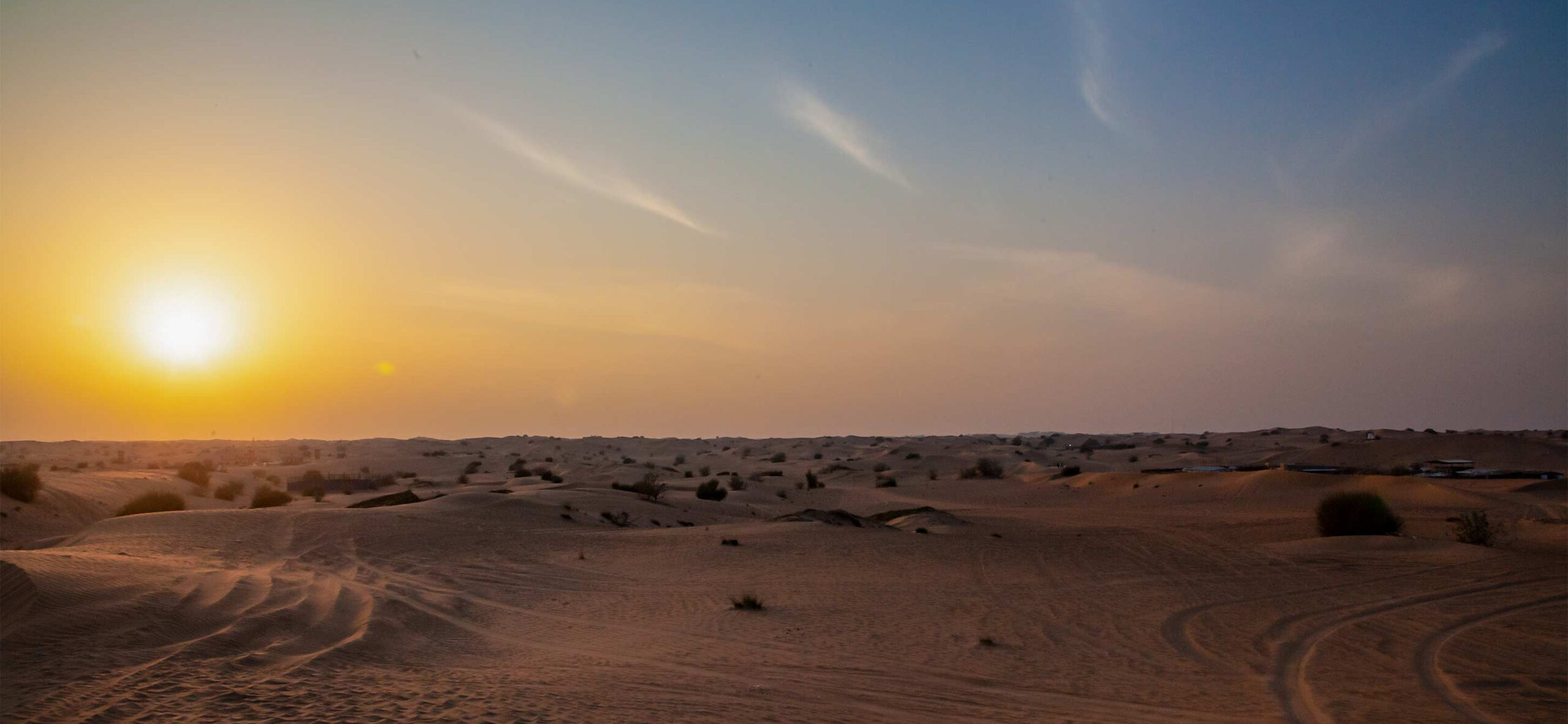 Evening Desert Safari with BBQ Dinner