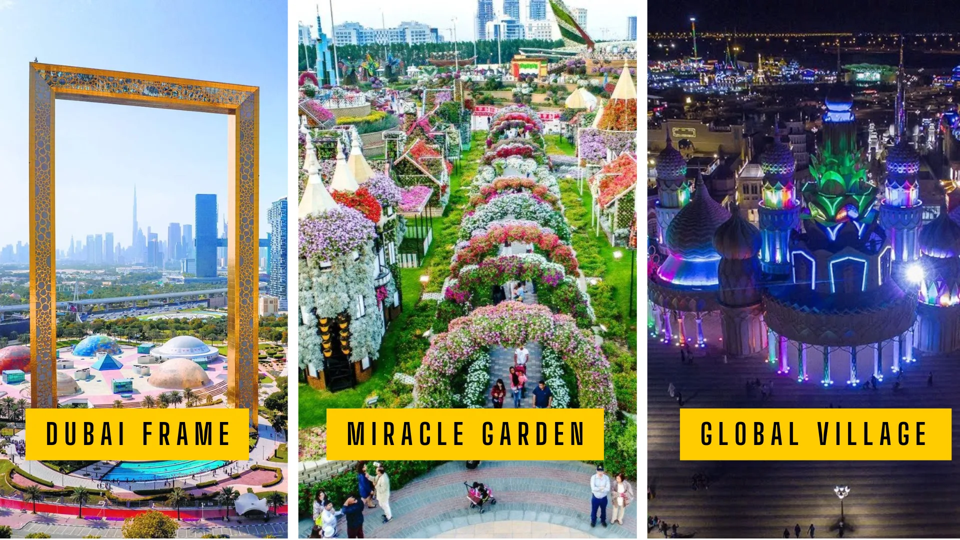 Dubai Frame, Miracle Garden and Global Village Tour
