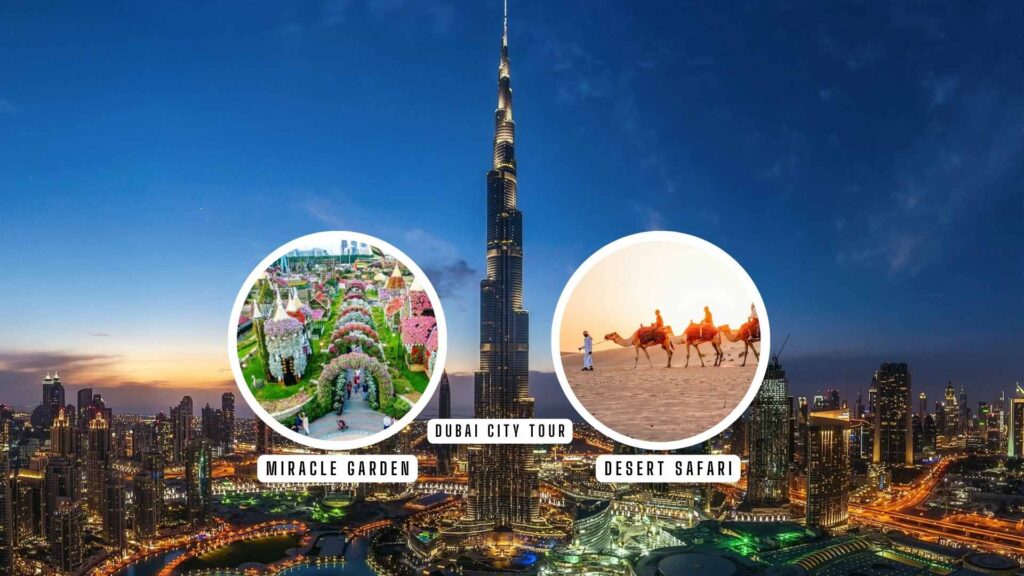 Miracle Garden, Dubai City and Desert Safari Tour