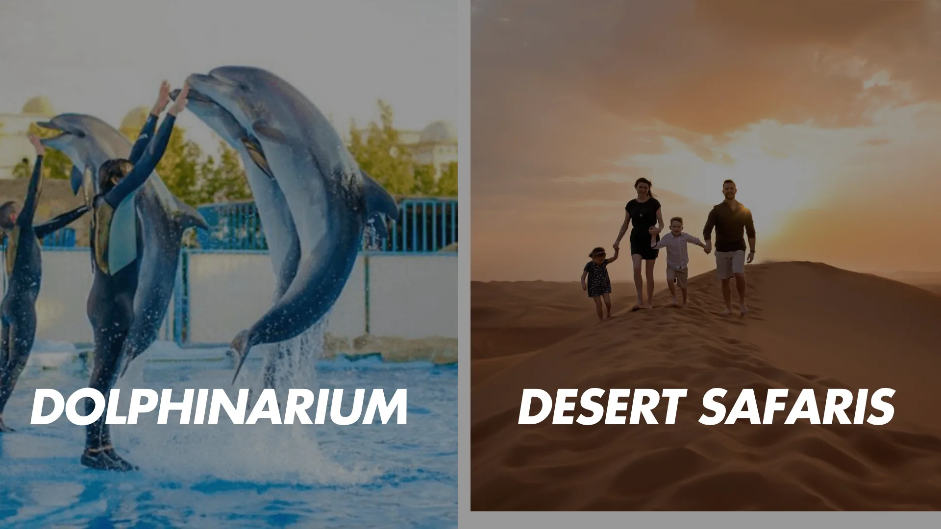 Dubai Dolphinarium with Desert Safari Tour