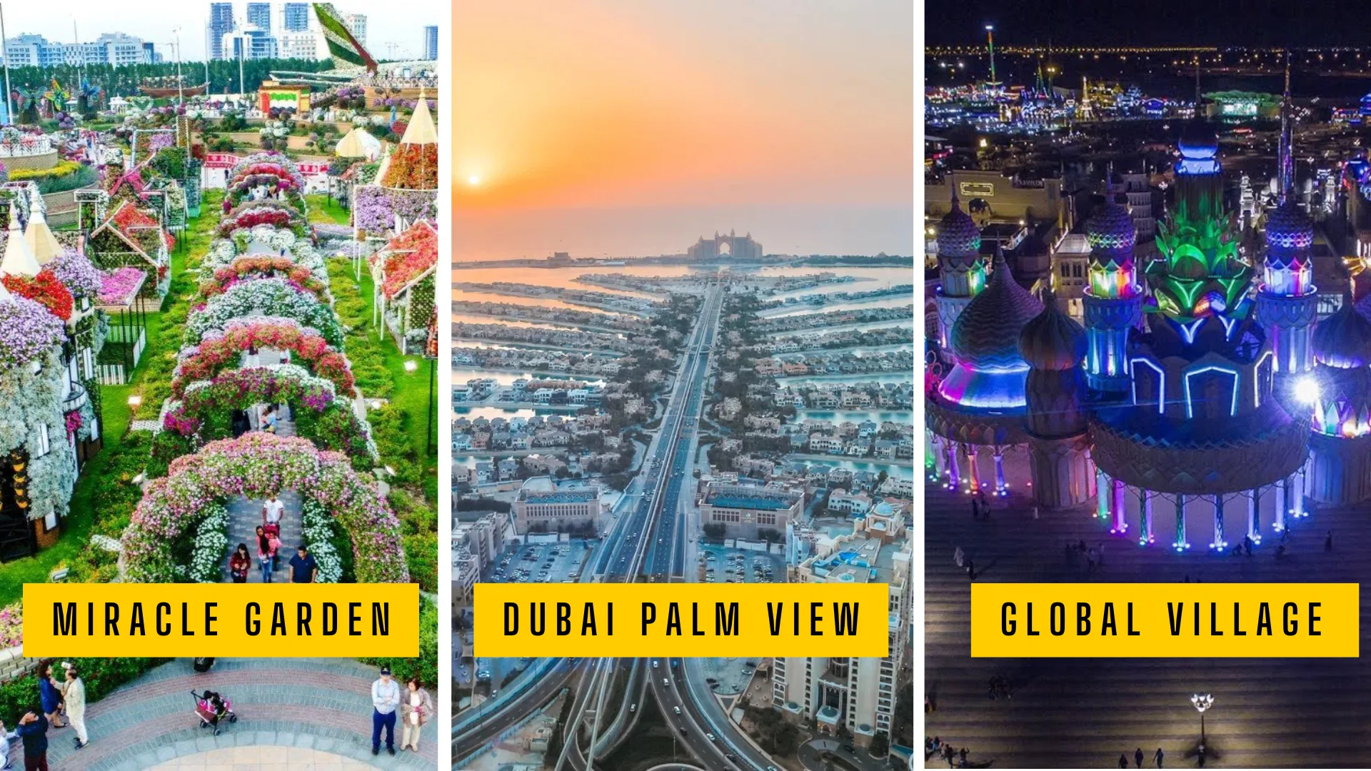 Miracle Garden, Dubai Palm View and Global Village Tour
