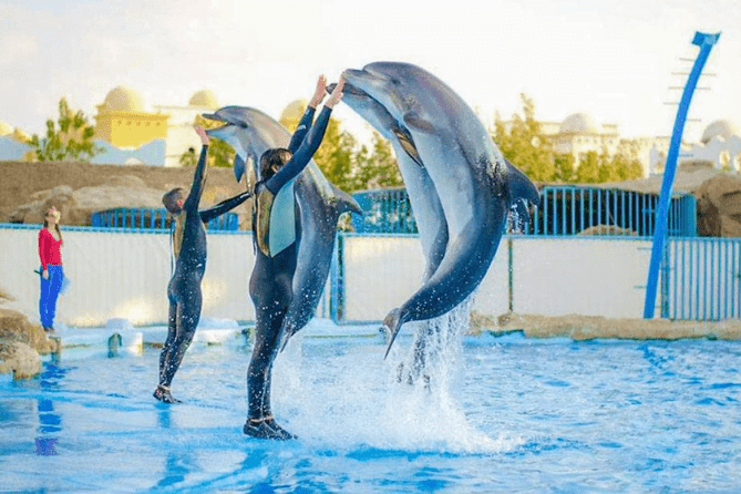 Dubai Dolphinarium with Desert Safari Tour