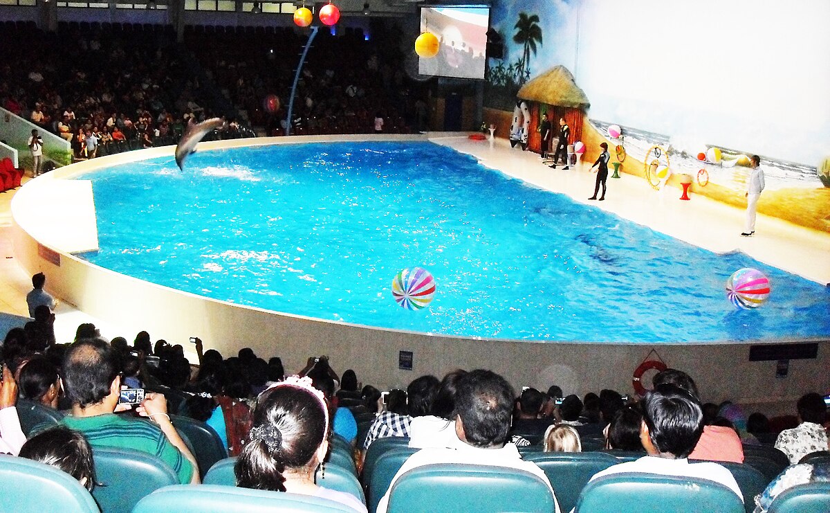 Dubai Dolphinarium with Desert Safari Tour