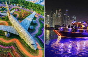 Dubai Miracle Garden & Dhow Cruise 