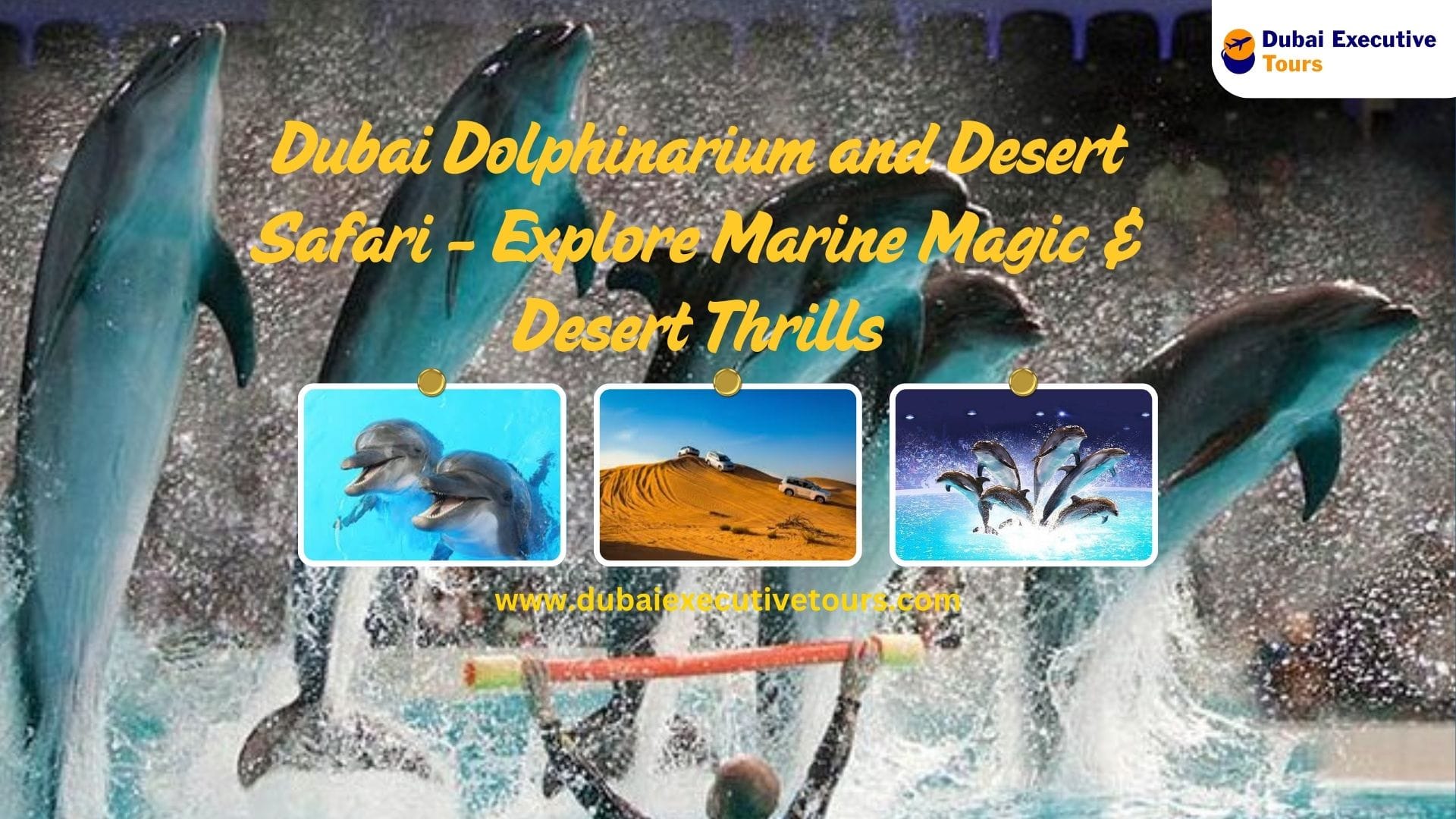 Dubai Dolphinarium and Desert Safari – Marine & Desert Magic