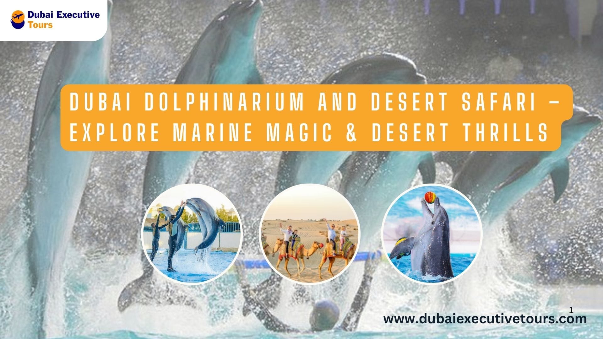 Dubai Dolphinarium and Desert Safari – Marine & Desert Magic