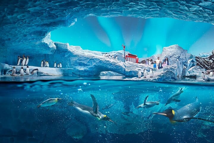 Abu Dhabi City Tour with SeaWorld Adventure