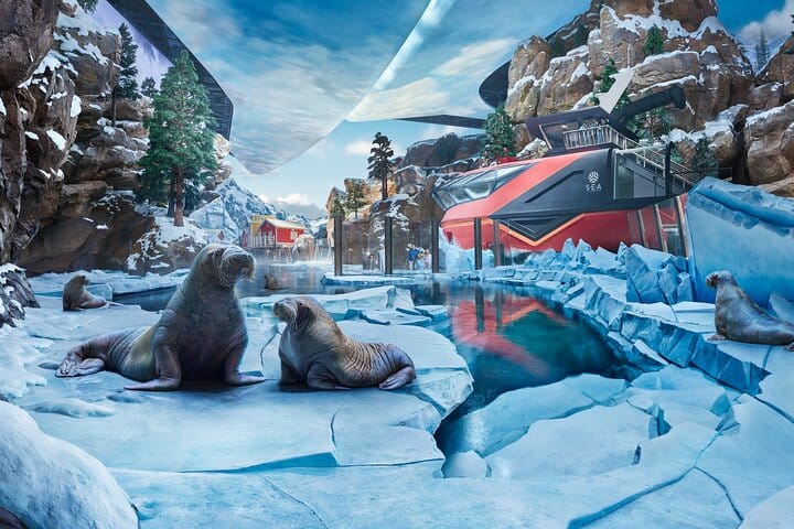 Abu Dhabi City Tour with SeaWorld Adventure