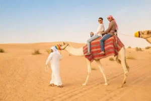 Traditional Camel Riding in Dubai Experience